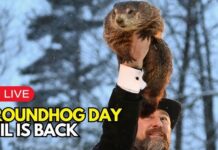 Ziua Cârtiței, ritualul care arată cât va mai dura iarna