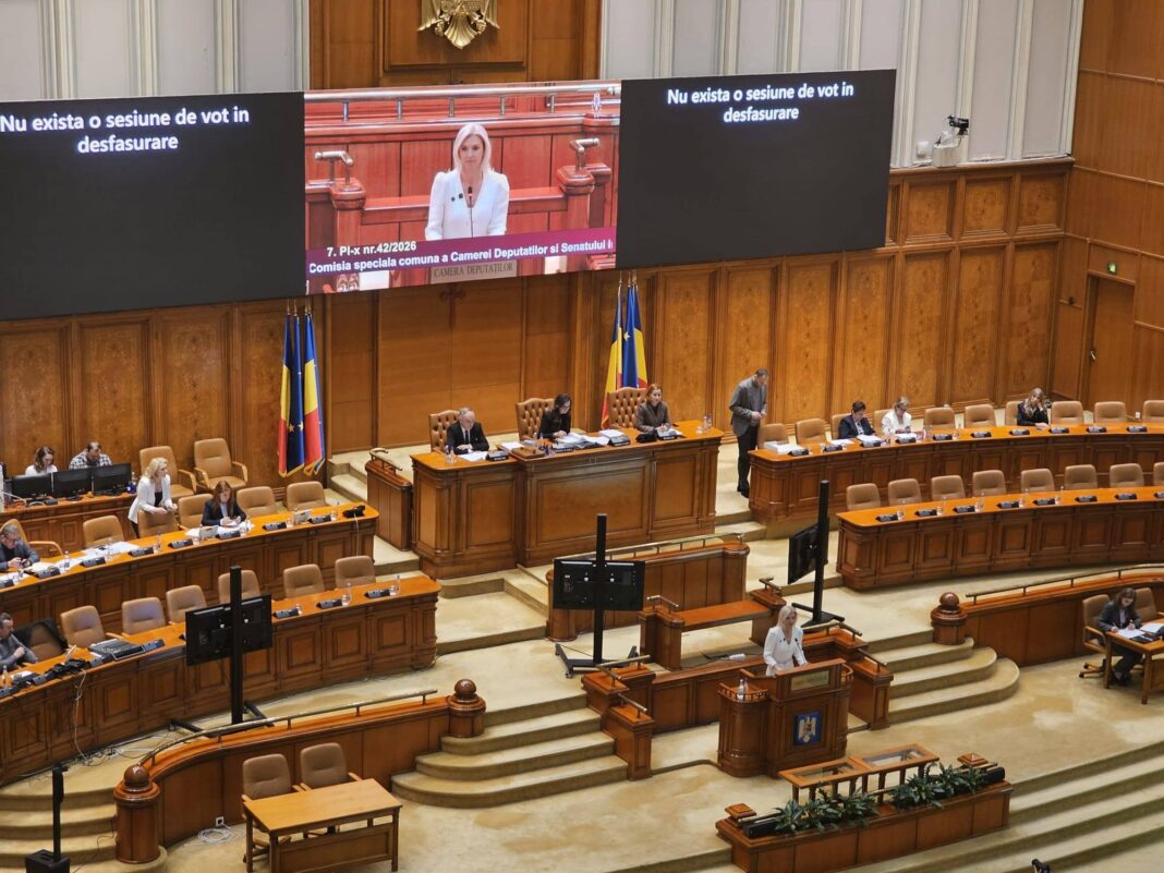 alina gorghiu legea femicidului
