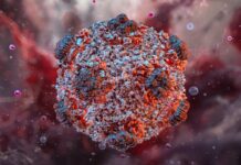 Alertă medicală la Arad după un posibil caz de hantavirus