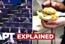 Parlamentul European a adoptat legea care interzice denumirea „friptură vegetală” YouTube