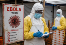 Virusul Ebola care a provocat epidemia majoră din RD Congo ar fi suferit mutații