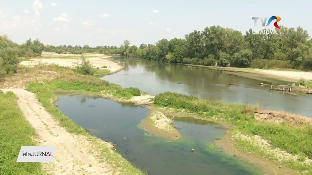 Foto: YouTube/TVR Craiova