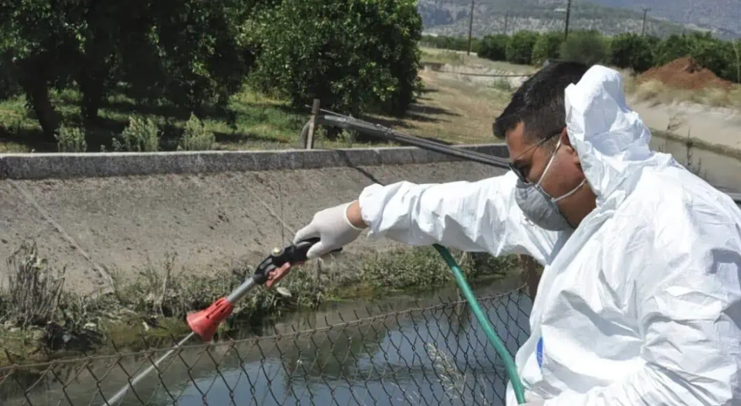Foto: https://greekcitytimes.com/2026/08/19/greece-accounts-for-70-of-west-nile-cases-as-europe-on-alert/