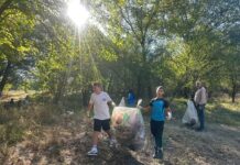 Voluntărenii, invitați sâmbătă la o acțiune de ecologizare în Pădurea Andronache