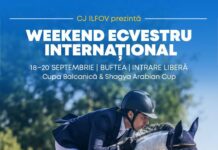 Weekend ecvestru la Buftea. Campionatul Balcanic de Anduranță Ecvestră și Cupa Shagya, de vineri până duminică